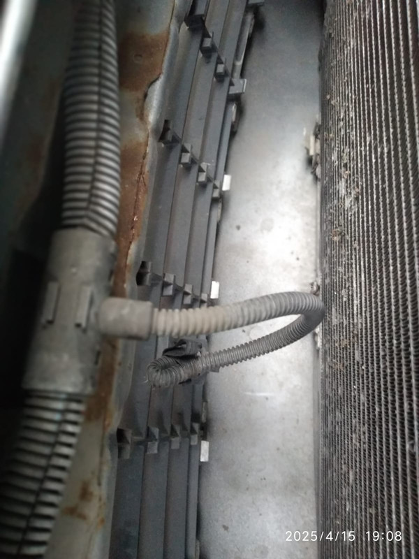 WhatsApp Image 2025-04-15 at 19.52.17 (1)