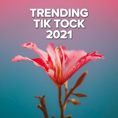 VA - Trending Tik Tock 2021 (2021)