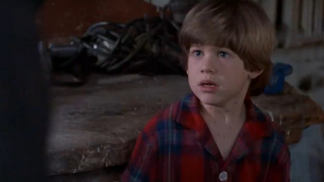 Home Alone 3 1997 BluRay [Hindi + Tamil + English] 1080p 480p 720p Screenshot