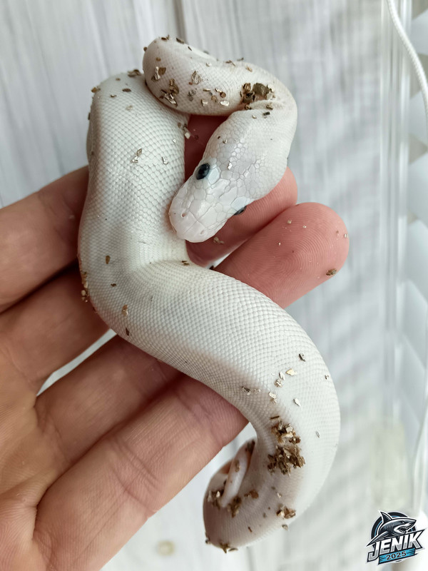 IMG_20250630_135510а