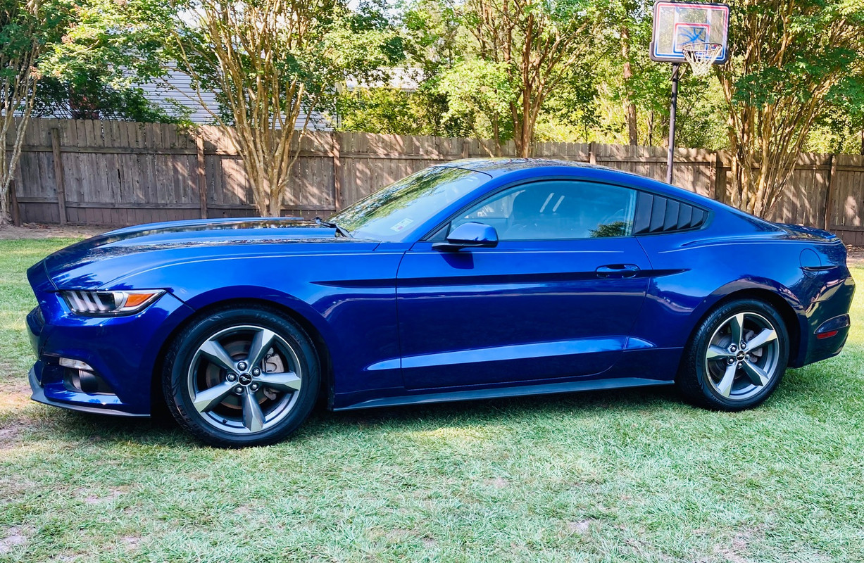 Mustang waxed
