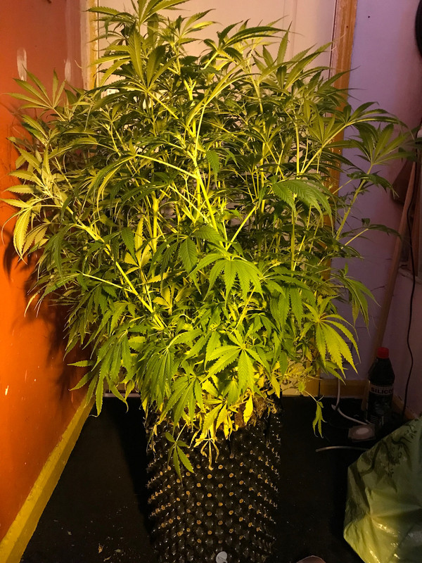 5C30FD66-2393-4581-8A76-FC856E3F8811