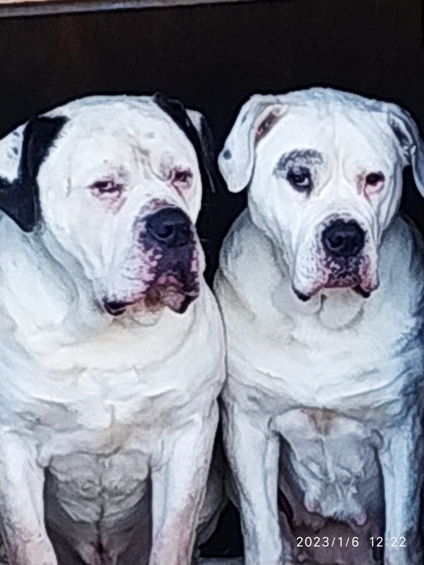 0481E16A-39D9-48B4-B22C-00D16AC218B1