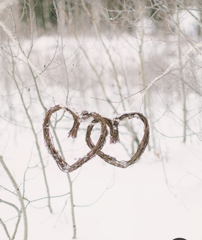 Screenshot_20240211_232331_Pinterest