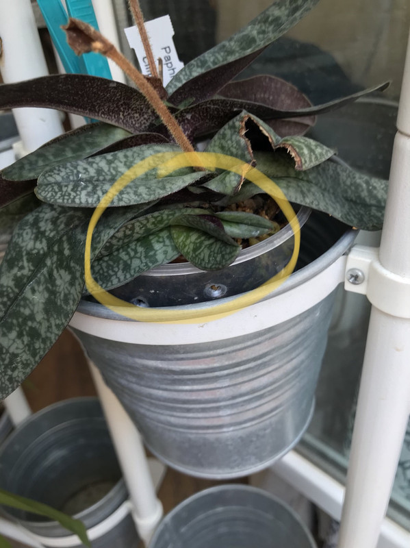 A6B2F727-F67F-41B4-8324-144F704D2559