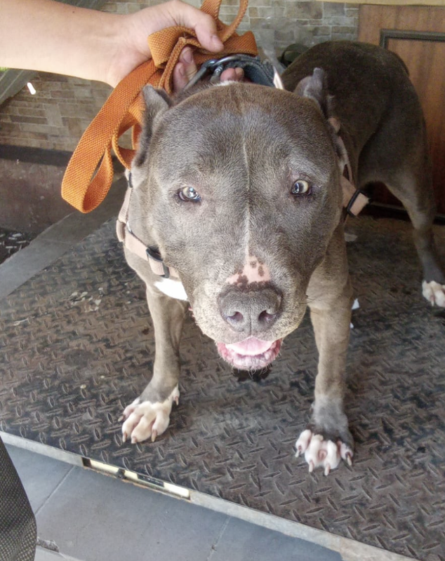 Снимок экрана 2024-05-27 в 20.51.18