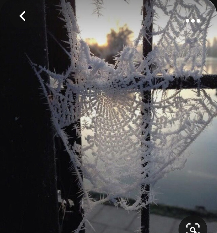 Screenshot_20231103_183356_Pinterest