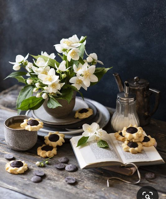 Screenshot_20230616_131058_Pinterest