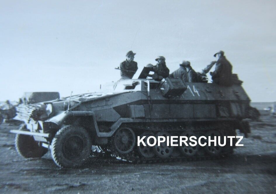 Altes Foto DAK Afrikakorps Schützenpanzer  Panzer  Sonder KFZ mit Kennung 14 (1)