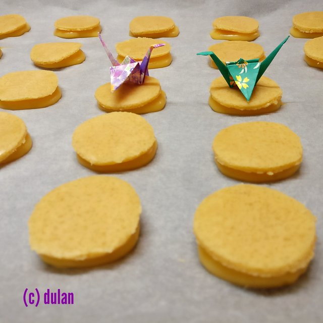 [Image: IMG-20240203-231650.jpg]