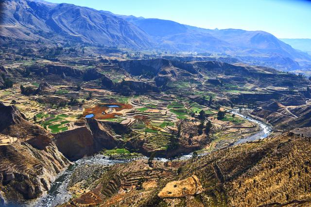 3 SEMANAS EN PERÚ del Amazonas a Machu Picchu 2019 - Blogs de Peru - Día 9. Arequipa Cañon del Colca - El vuelo del Cóndor (4)