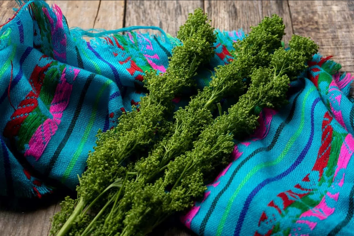 ¿Qué es el huauzontle y como ayuda a prevenir la diabetes?