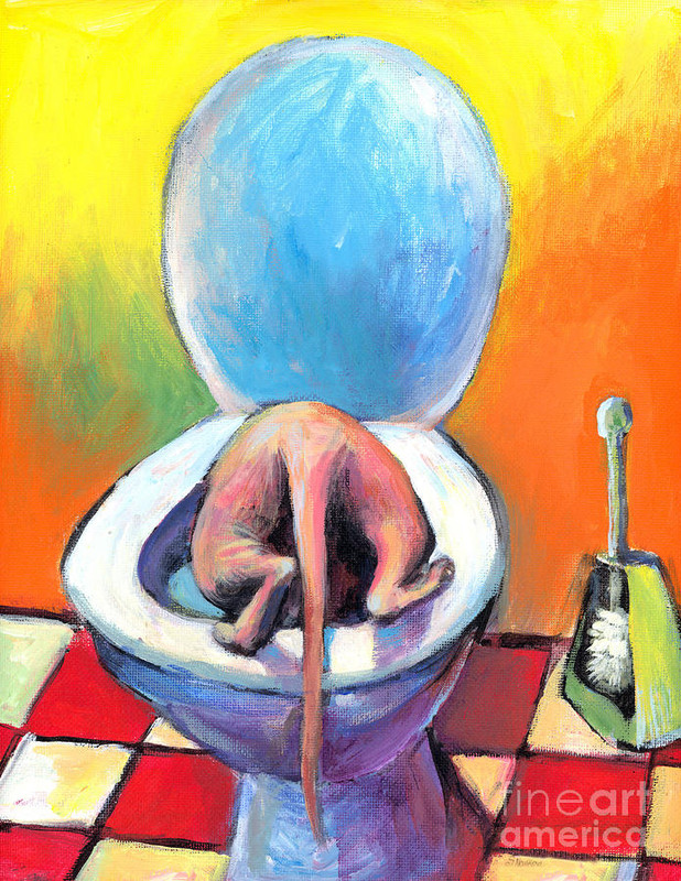 23-funny-sphynx-cat-painting-prints-svetlana-novikova