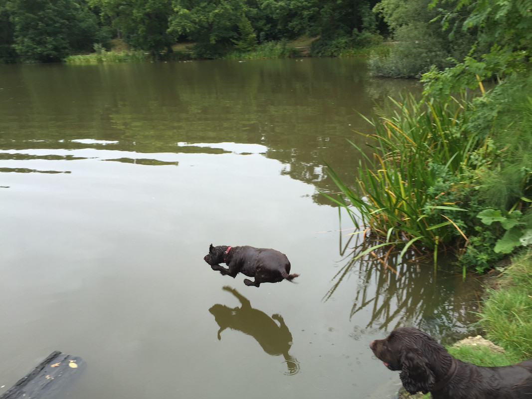 C91A160C-6C59-4302-BD5B-17B5E920A80E