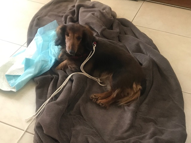 [Image: IMG-2889.jpg]