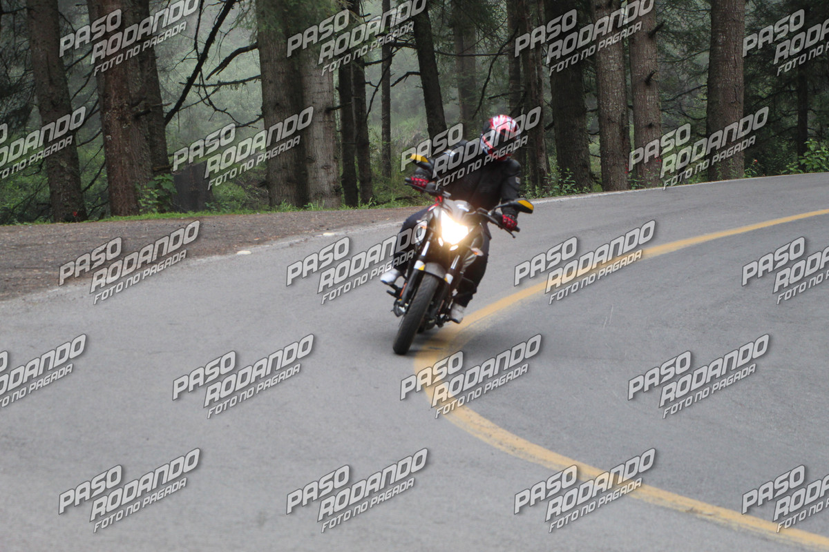 IMG 6177 wm 746657 3 watermarked — Postimages