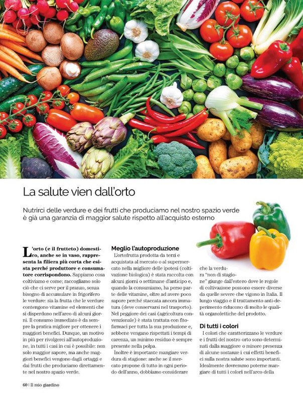 Il Mio Giar Ago-Set 2022 (11)