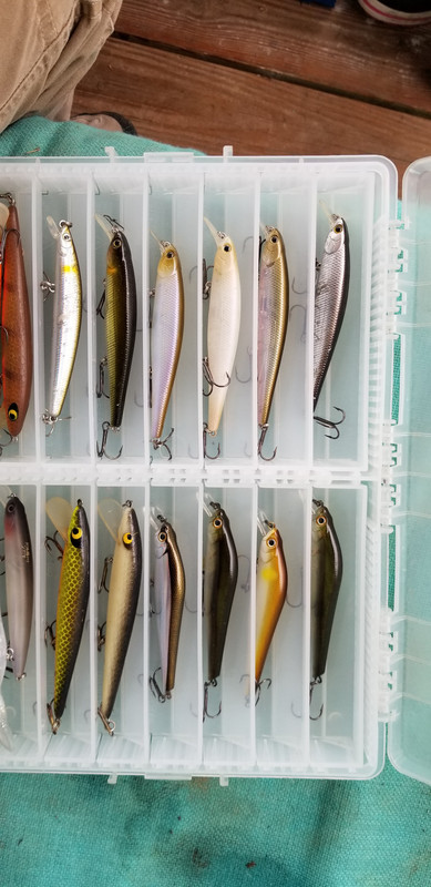 20190407-172614.jpg