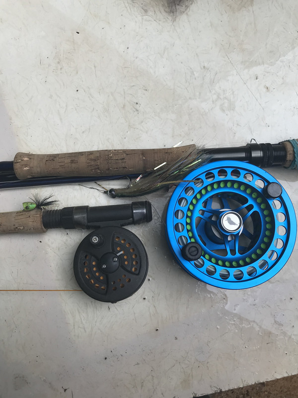 E18EC92C-F6E1-44AC-ADDA-D771F962631B