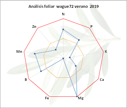 Análisis foliar julio 2019 - wague72 Sierra Sur (Sevilla) Wague72-verano-2019