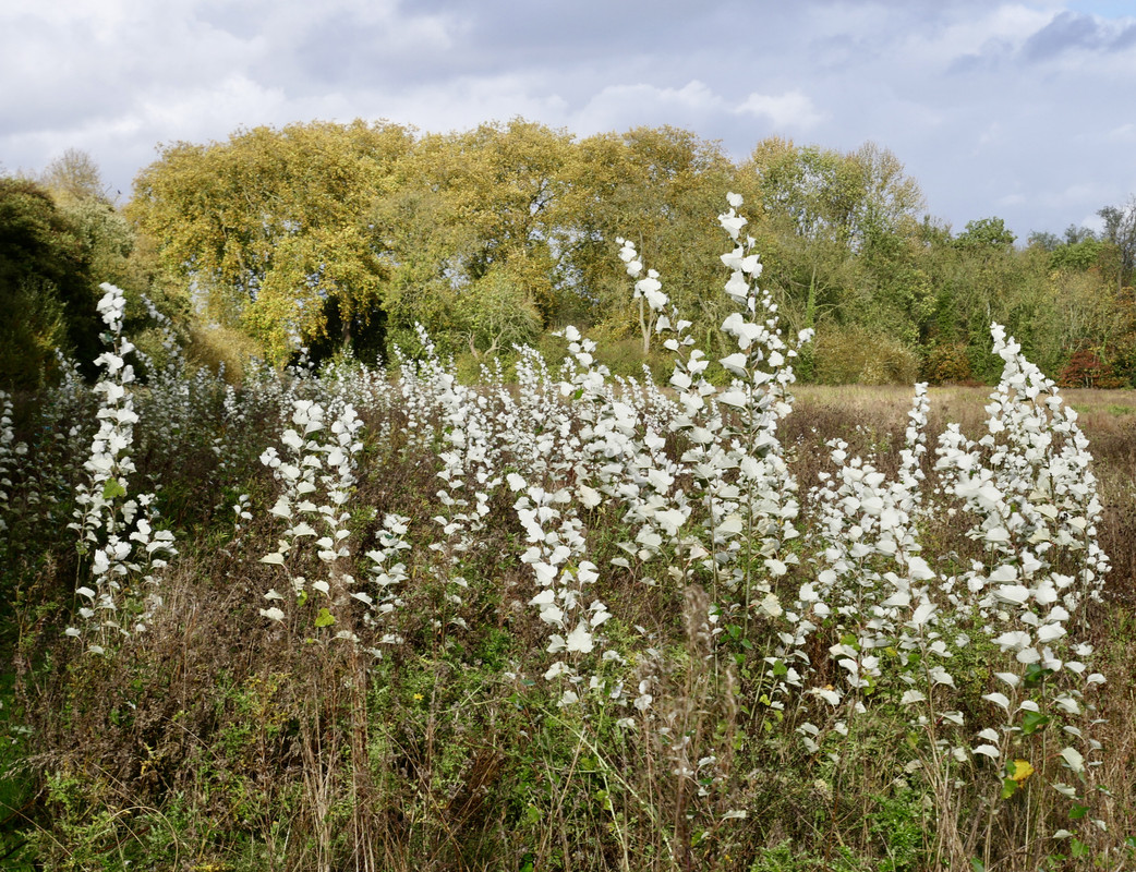 A4AA32D0-2443-4BB8-A032-7768CE95C21F