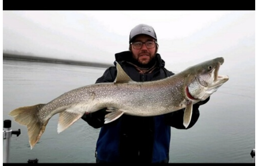 C540DE3F-0987-4566-B55C-5147C2BE48AA