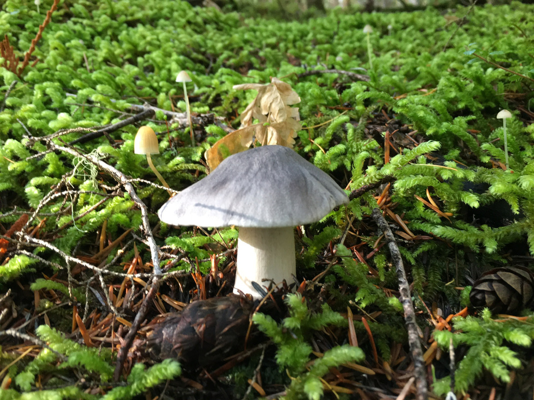 86E16170-1B0E-4886-ADEF-1E53BD055C81