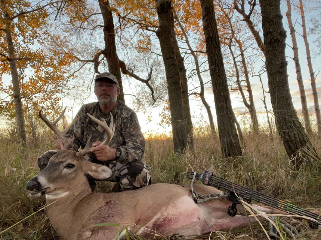 C0532967-B9A9-48B3-BF36-E01D83F3715B