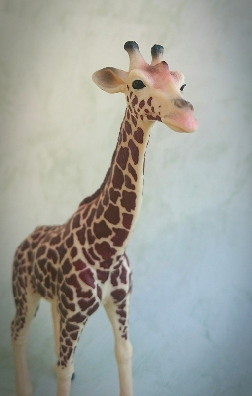 mojo - Mojo 2020 - Masai Giraffe 20200627-125859