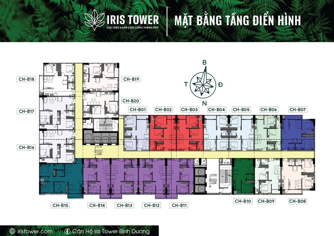 Mặt bằng tầng điển hình dự án Iris Tower (Block B)