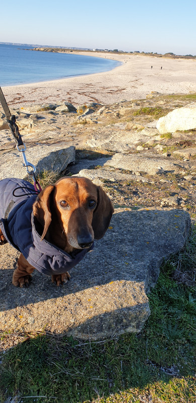 [Image: 20210109-152631.jpg]