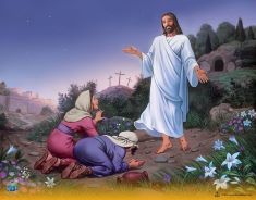 1204
