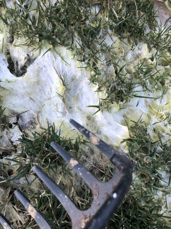 7E580550-0D2D-4713-AF20-E92FF21958EA