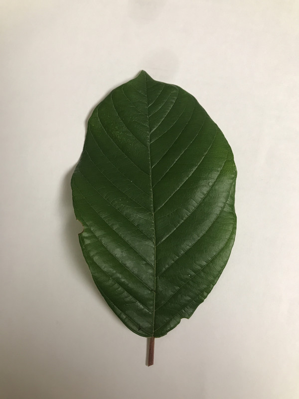 9284DF72-EFB8-4AD9-921D-34A47373E277