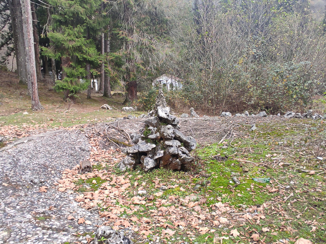 IMG-20211208-140637.jpg