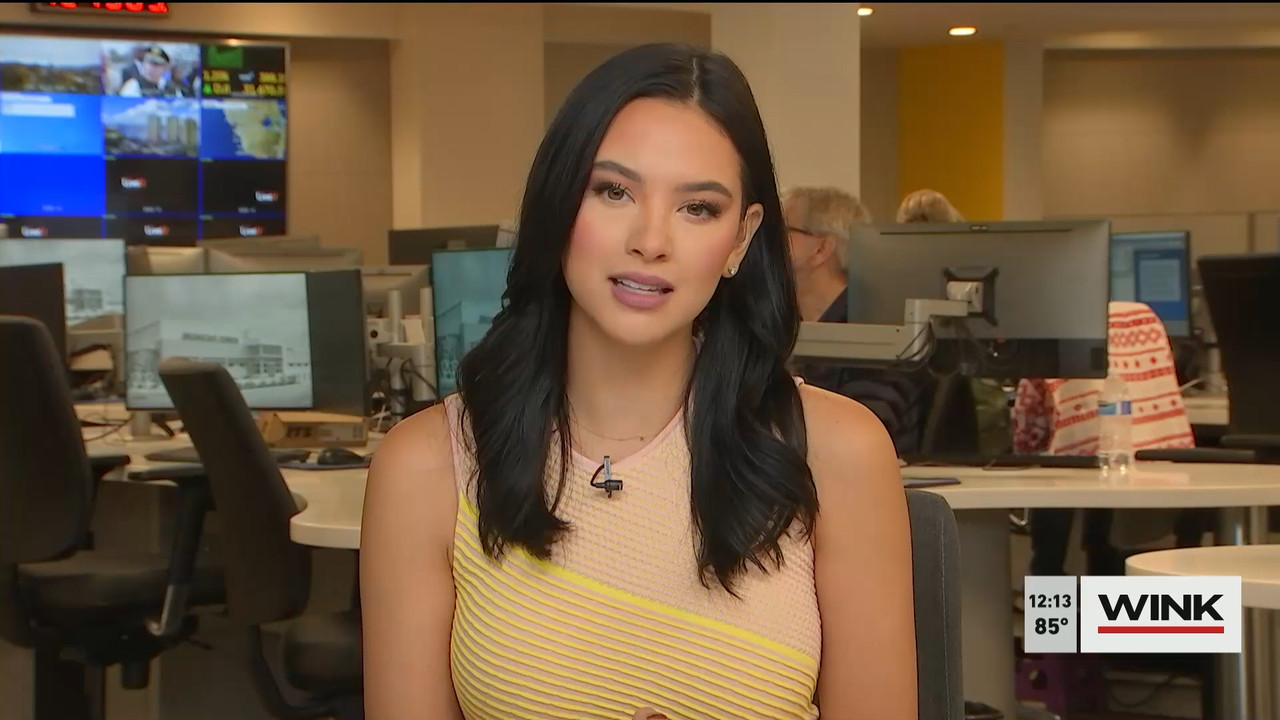 10.24 - 17.00.00 - The WINK Noon News  ᴺᵉʷ. Midday news update..ts_snapshot_19.27.824