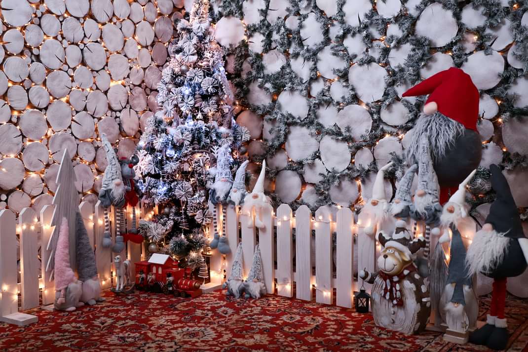 img_13_1639574045439