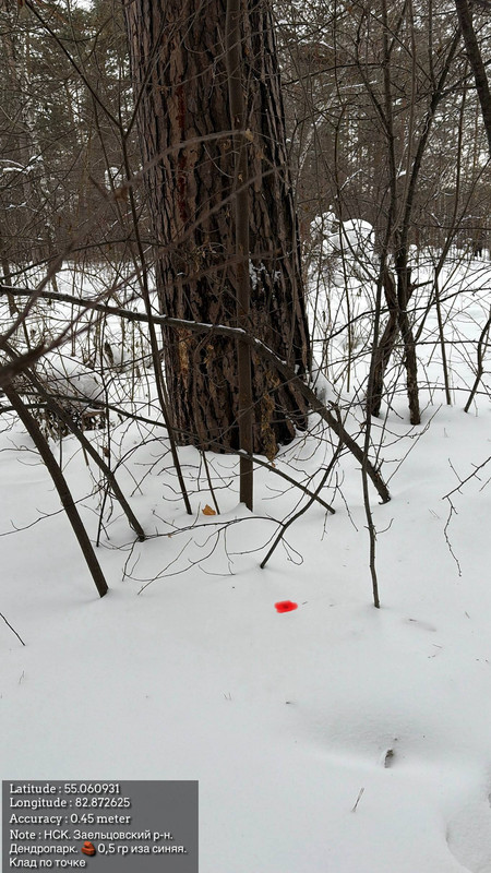 photo 2026 03 12 19 58 50