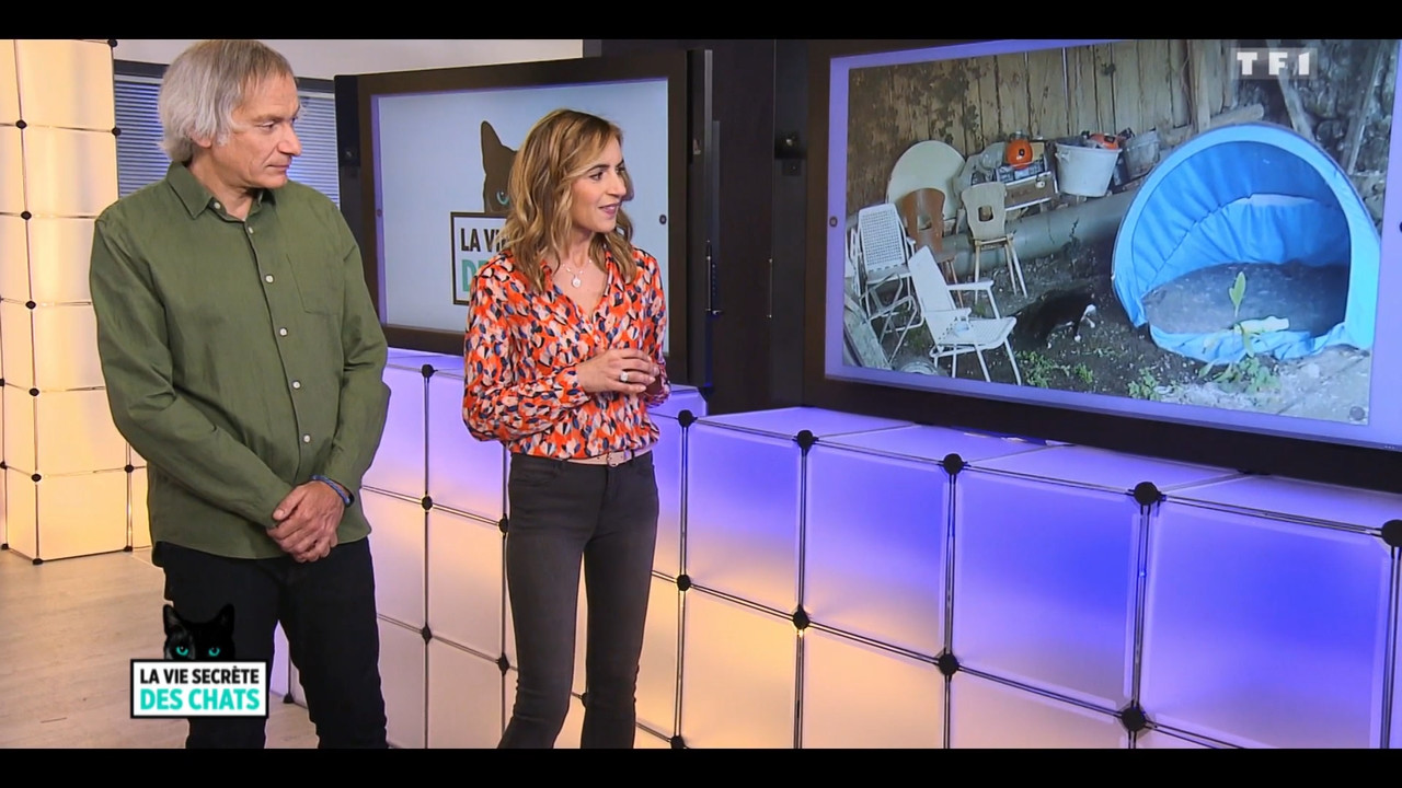 2020-05-30_10_35_TF1_La-vie-secrete-des-chats_Chats-et-sentiments-avec-Charlotte-Valan.mp4_snapshot_