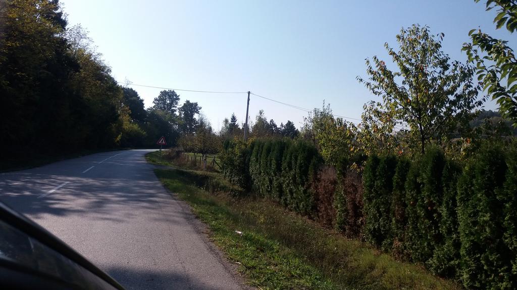 Slika