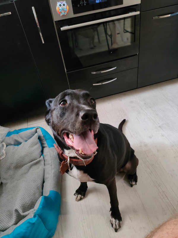 A768A1FA-07A4-4E8D-AEDA-964C4DDBB3F2