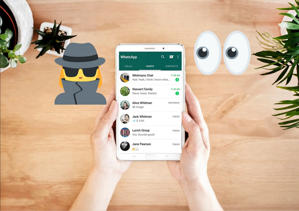 Truco de WhatsApp para ver estados y chats en secreto; actívalo fácilmente