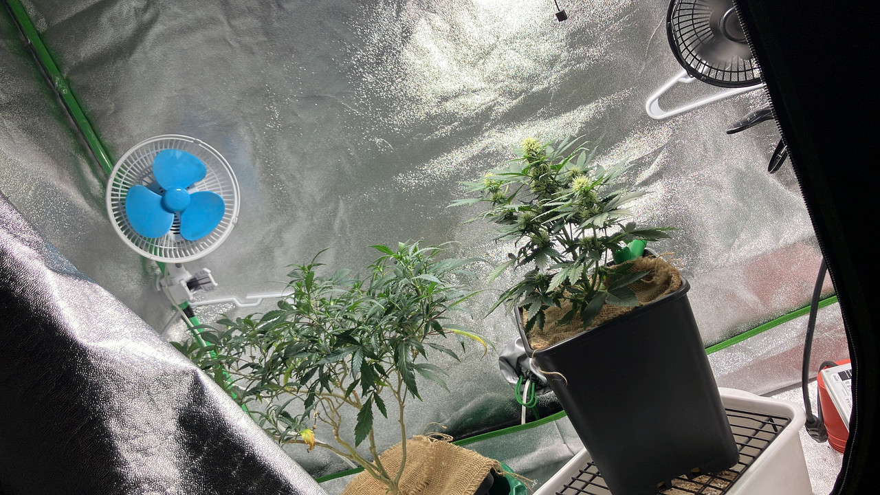 7259F3A6-91A7-41E4-A38A-A7DCE592EAE1