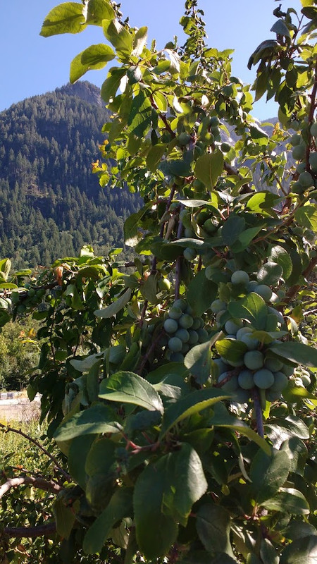 IMG_20240723_160814274