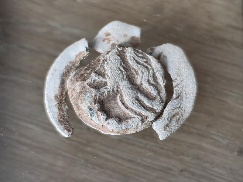 IMG 20260108 124100 edit 170593052924089