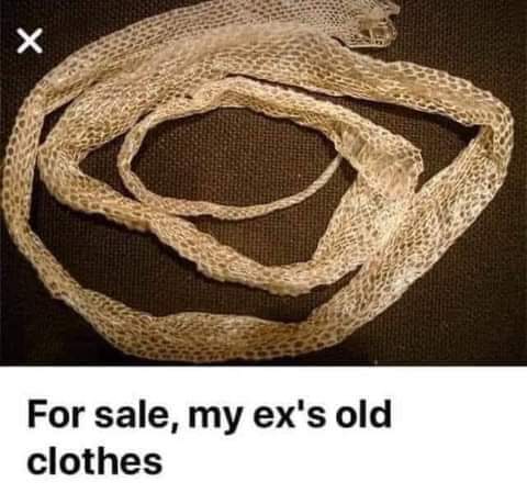 snake.jpg