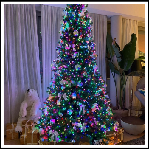 LUCI LED PER ALBERO DI NATALE DA INTERNO E ESTERNO MULTICOLOR BIANCO BOANCO CALDO