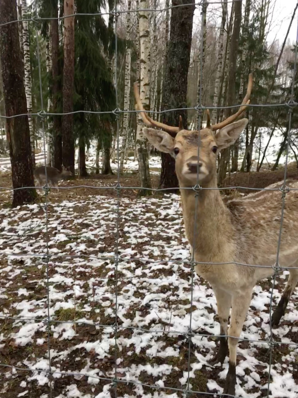 1C7B170A-2F1F-4844-8C08-8CFFF1BF7531