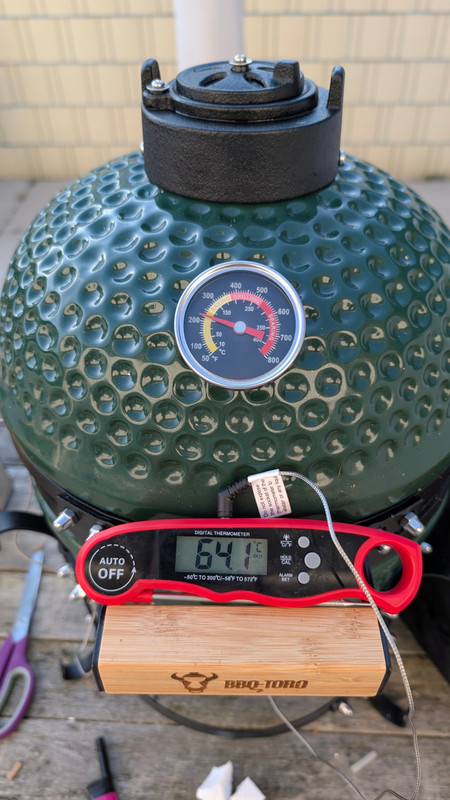 PXL 20260204 131118711 MP jpg compressed