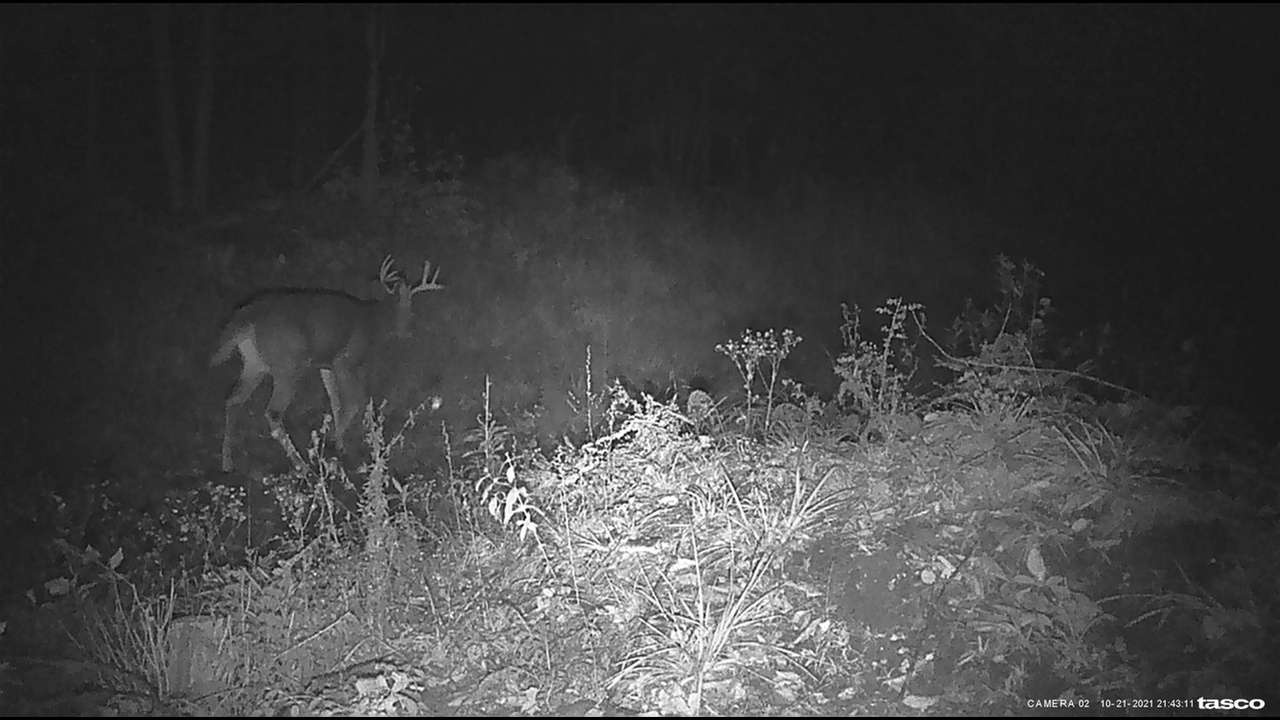 8E7A3B85-0C17-499C-BB3C-35E816E3AFC5